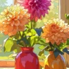 Premium Coloring Book Bundle